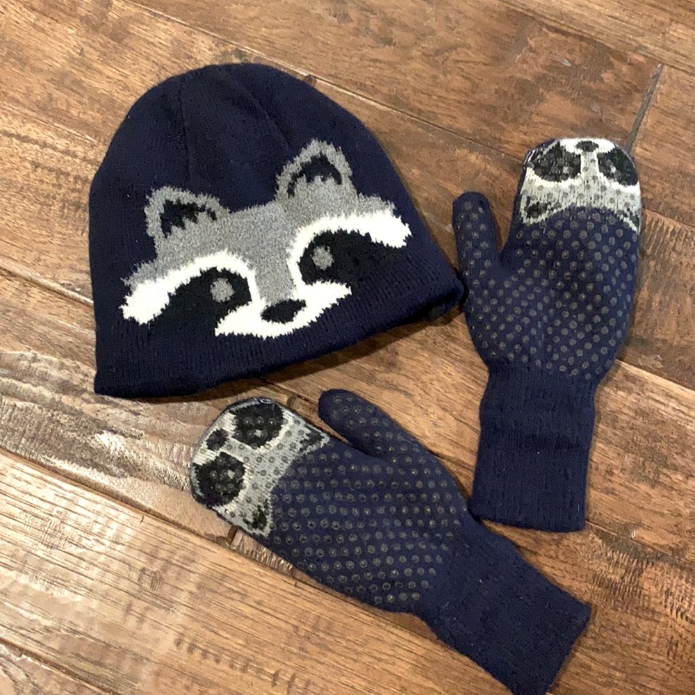 Kids Navy Racoon Beanie and Gloves